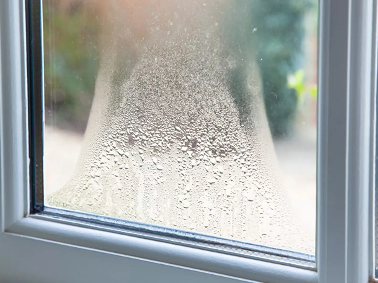 Damp and mould